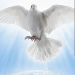 R.I.P gramps