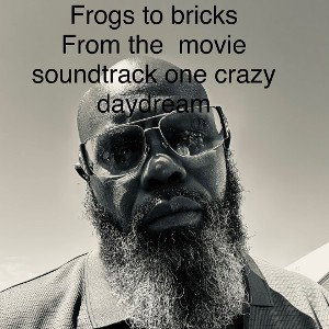 Frog to bricks