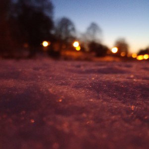 miłość i przyszywana więź braterska 