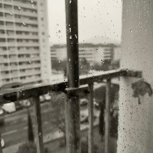La haine calme