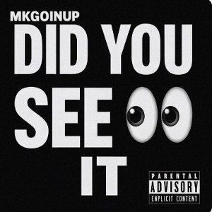 DID YOU SEE IT