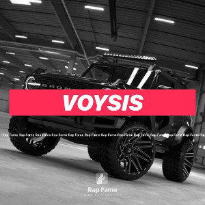 voysis 