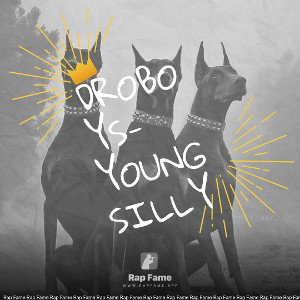 Droboys-youngsilly