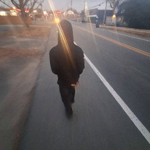 Gingseng_freestyle
