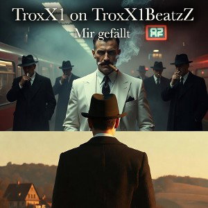 TroxX1BeatzZ - was ich mach' (Preview)