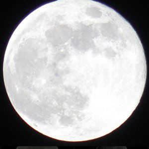 THE MOON FT. BENJI _bubble 