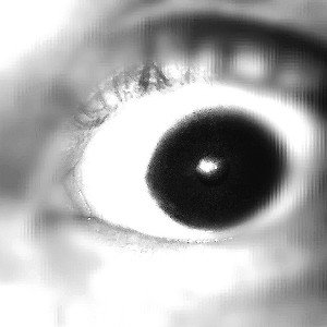 eye freestyle 