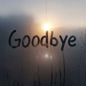 goodbye