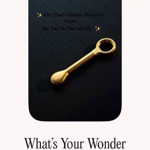 What’s Your Wonder…