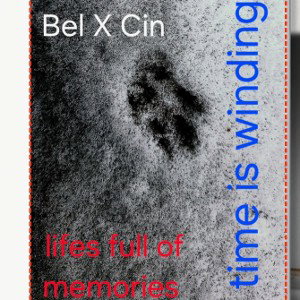 BelXCin mkultra 