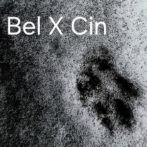 BelXCin Reloaded