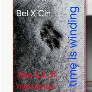 BelXCin things i think about 