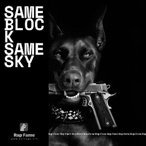 same block same sky