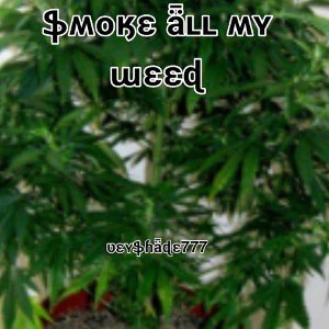 Veyshade7 77 - Smoke All My Weed