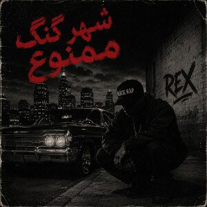 شهر گنگ ممنوع