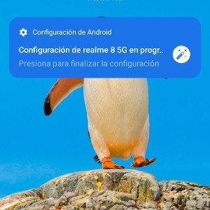 duele saber 