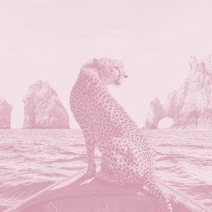 no name (Bass Boost)