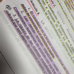 Artículo 3 de la CE- la lengua