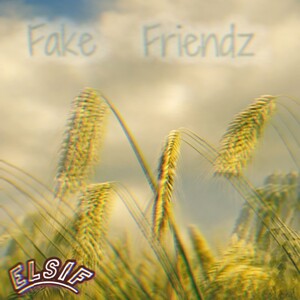 Fake Friendz