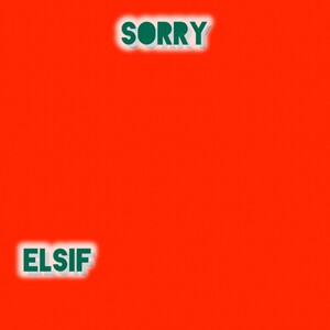 Sorry (Akon Remix)