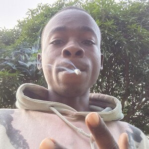 Kelvin est