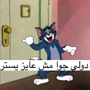 استر يا دولي٢