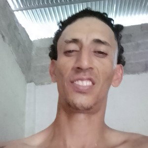 freestyle estilo libre 