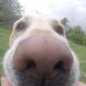 SNIFFJUGG