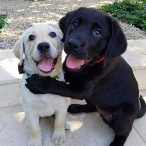 Hug me tight