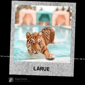 la rue 
