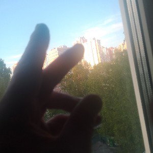 люблю вас 