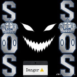 danger ⚠️ danger ☢️  ‼️ 
