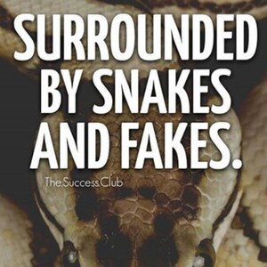 snakes are lurking so we gonna get high 