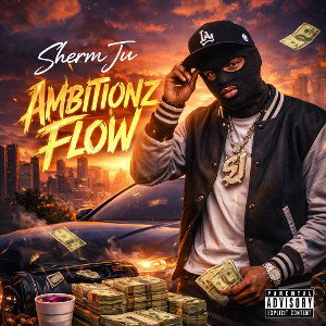 AMBITIONSSHERM