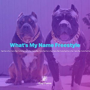 What’s My Name Freestyle