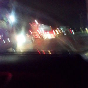Goin Dumb