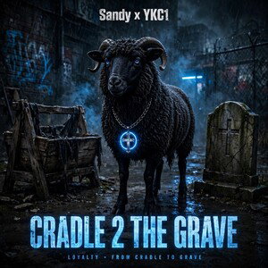 CRADLE TO THE GRAVE 