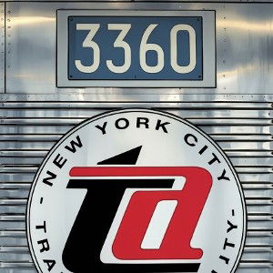 TA BOLD CREST  