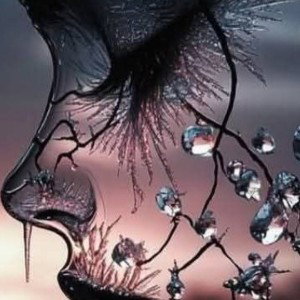 "CONSCIOUS SOUL"