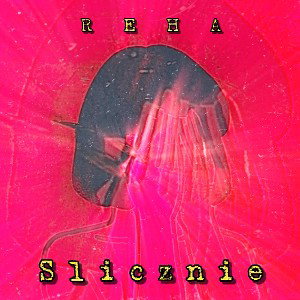 ślicznie /skit3/