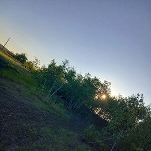 alone