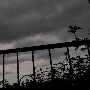 NOMADA -LIL SIX ft.BKG
