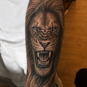 Aslan 2