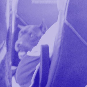 I Don't know WHY!?!? (Slowed + Reverb)