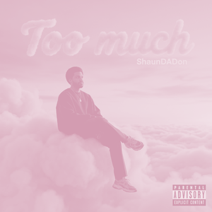 Too much (Bass Boost)