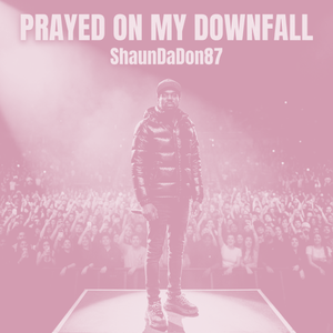 Prayed On My DownFall (Bass Boost)