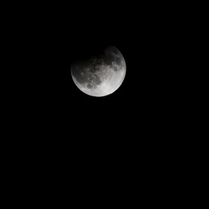 Zurvival Mode