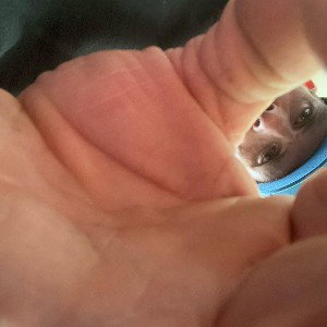 MINDSEYE