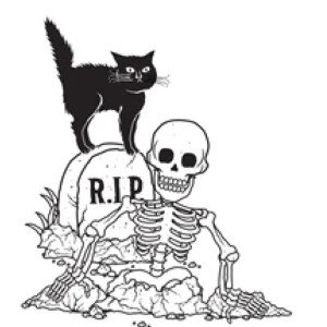 he’s back from the dead
