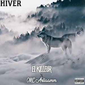 HIVER feat Mc Ariiaamm